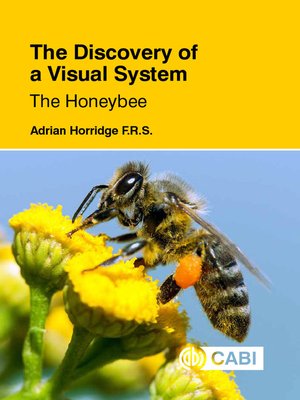 cover image of The Discovery of a Visual System--The Honeybee